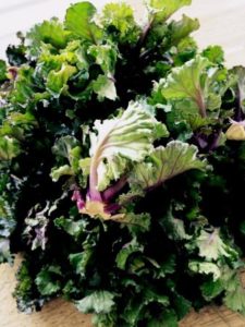 Flower Sprouts - eine Kreuzung aus Rosenkohl und Grünkohl