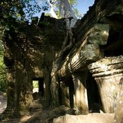 (c) Johannes Fehrle, Ta Prohm Tempel